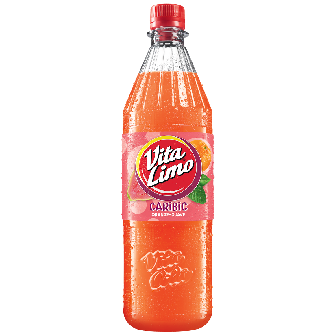 Vita Limo Caribic (12/1,00 Ltr. PET MEHRWEG)